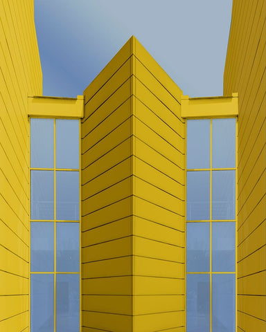 Symmetries Black Ornate Wood Framed Art Print with Double Matting by Domont, Jois