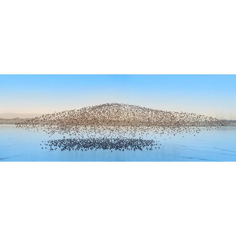 Untitled Black Modern Wood Framed Art Print with Double Matting by Fengying Long