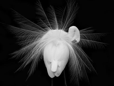 Untitled White Modern Wood Framed Art Print with Double Matting by Fengying Long