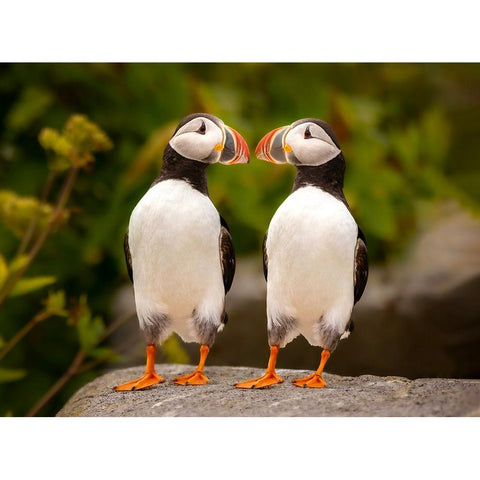 Hello Black Modern Wood Framed Art Print by Dan, Kai