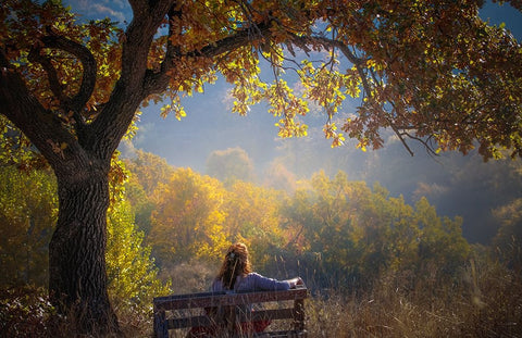 Woman Sitting On A Bench Under A Tree And Facing A Yellow Autumn White Modern Wood Framed Art Print with Double Matting by Oprea, Vio