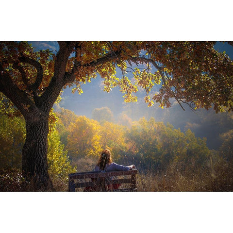 Woman Sitting On A Bench Under A Tree And Facing A Yellow Autumn White Modern Wood Framed Art Print by Oprea, Vio