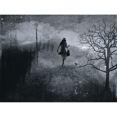 Girl In The Mist Black Modern Wood Framed Art Print with Double Matting by Lammakmak