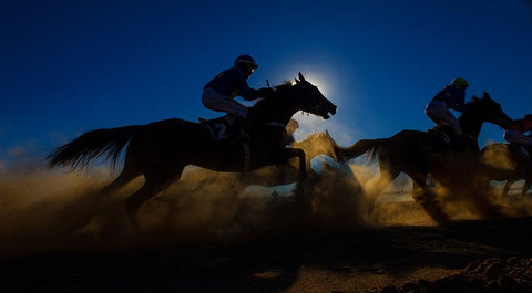 Horse Racing Through The Dust Black Ornate Wood Framed Art Print with Double Matting by Lee Chapman, Sharon