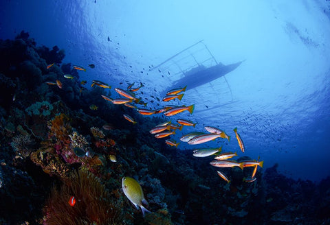 Under The Boat White Modern Wood Framed Art Print with Double Matting by Y Lin, Ryan