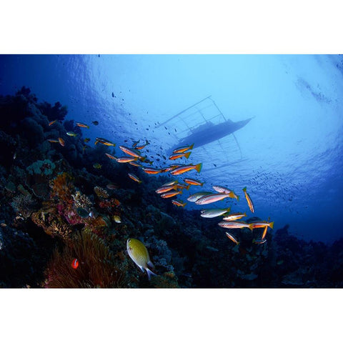 Under The Boat Black Modern Wood Framed Art Print with Double Matting by Y Lin, Ryan