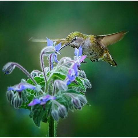 Good Taste White Modern Wood Framed Art Print by Huang, Xiaojian