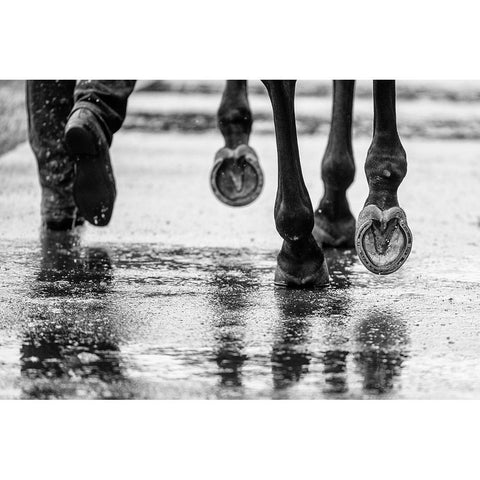 Water Hooves White Modern Wood Framed Art Print by Lee Chapman, Sharon