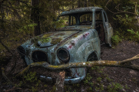 Used Black Ornate Wood Framed Art Print with Double Matting by Pettersson, Benny