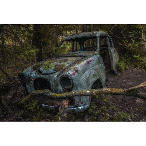 Used Gold Ornate Wood Framed Art Print with Double Matting by Pettersson, Benny