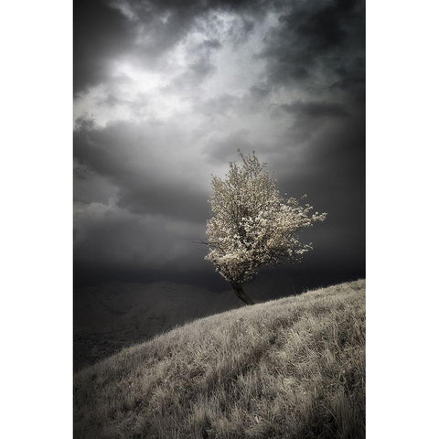 Unexpected Grace White Modern Wood Framed Art Print by Manini, Filippo