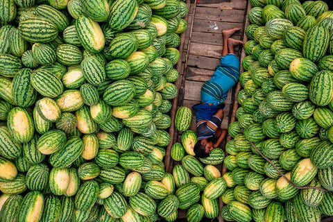 Sleeping On Watermelon Boats Black Ornate Wood Framed Art Print with Double Matting by Khan Ronnie, Azim