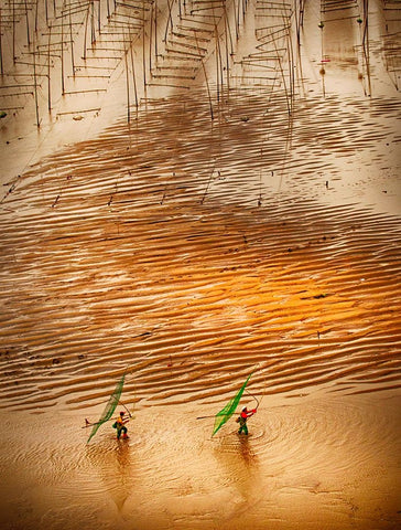 Catching Small Shrimp White Modern Wood Framed Art Print with Double Matting by Muliani Hartojo, Angela