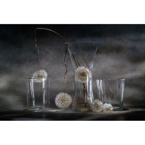 Dandelion Trap White Modern Wood Framed Art Print by Kopcev, Igor