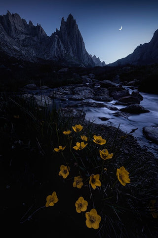 The Night Is Deep And People Are Awake White Modern Wood Framed Art Print with Double Matting by Cui, Yuan