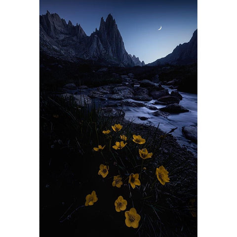 The Night Is Deep And People Are Awake Black Modern Wood Framed Art Print by Cui, Yuan