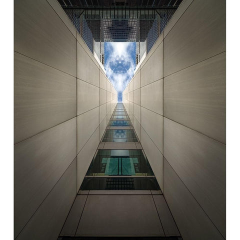 The Journey White Modern Wood Framed Art Print by Chiodo, David