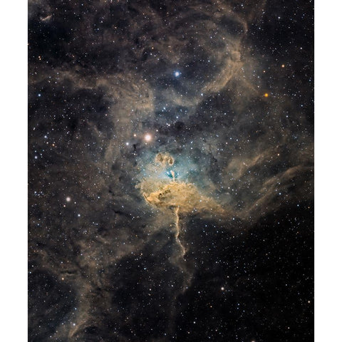 Spider Nebula Gold Ornate Wood Framed Art Print with Double Matting by Chander, Vikas