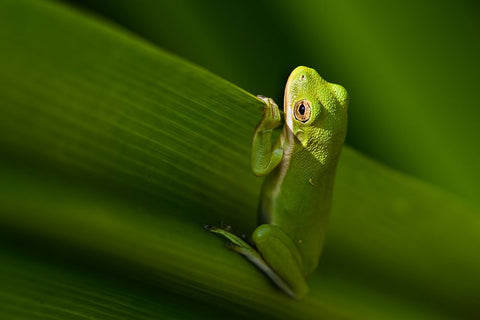 Take A Look Outside White Modern Wood Framed Art Print with Double Matting by He, Mike