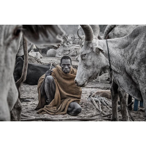 In A Mundari Cattle Camp - South Sudan Gold Ornate Wood Framed Art Print with Double Matting by Inazio Kuesta, Joxe