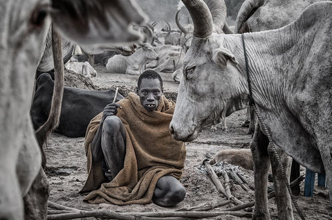 In A Mundari Cattle Camp - South Sudan Black Ornate Wood Framed Art Print with Double Matting by Inazio Kuesta, Joxe