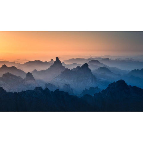 Suspended Animation Gold Ornate Wood Framed Art Print with Double Matting by Wei, Willa