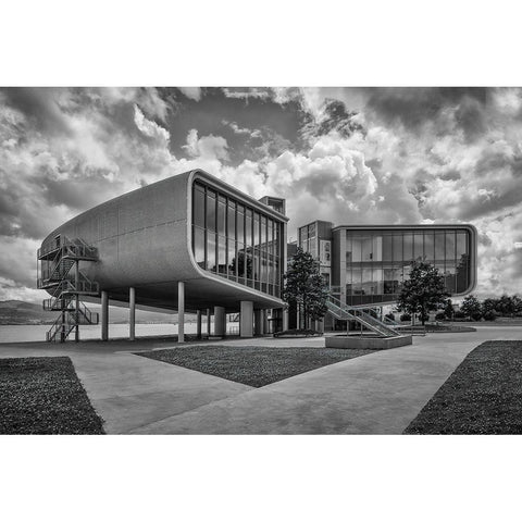 Botasn Center White Modern Wood Framed Art Print by Rodriguez De, Enrique