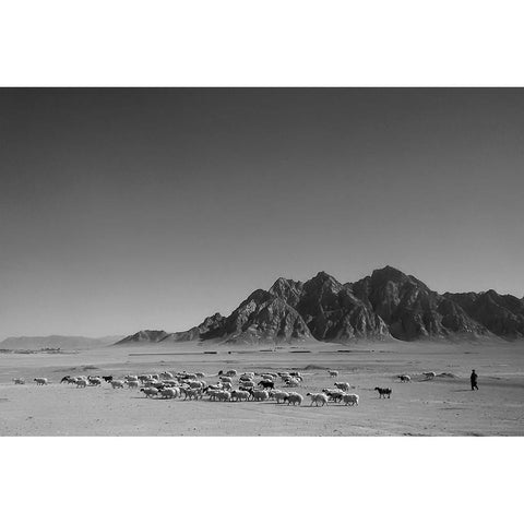 Shepherd Gold Ornate Wood Framed Art Print with Double Matting by Danial.F16