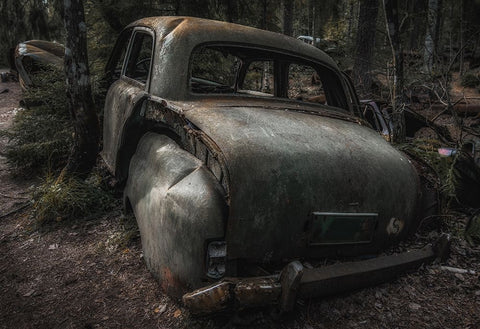 When Time Says Goodbye Black Ornate Wood Framed Art Print with Double Matting by Pettersson, Benny