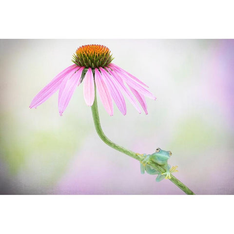 Protected Black Modern Wood Framed Art Print by Doyle, Renee