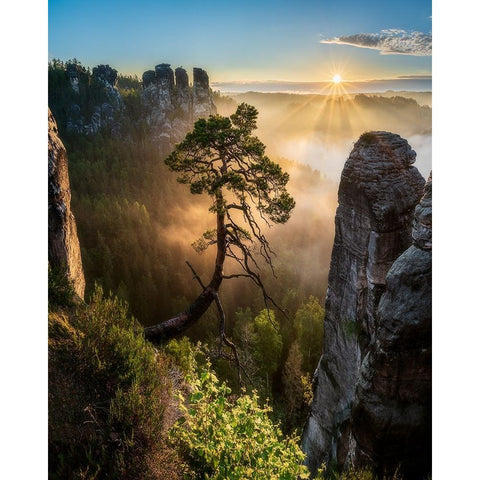 The Third Most Famous Pine Of Saxony Switzerland Black Modern Wood Framed Art Print with Double Matting by Holic, Filip