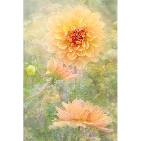 Secret Garden Gold Ornate Wood Framed Art Print with Double Matting by Parker, Jacky