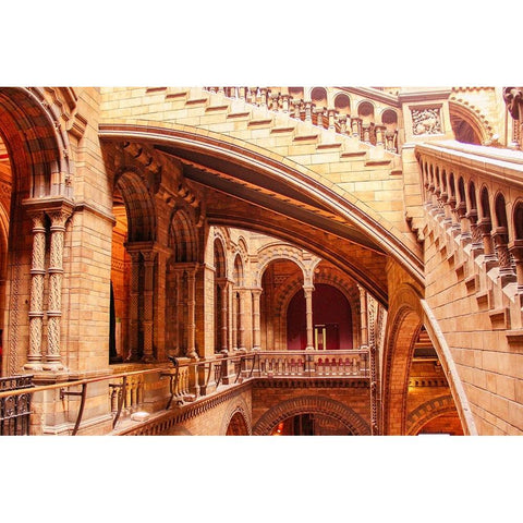 In Natural History Museum Black Modern Wood Framed Art Print by Kogan, Anna