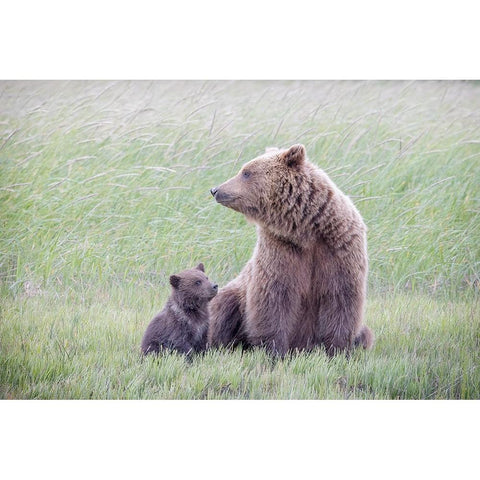 My Mom - My Best Friend Gold Ornate Wood Framed Art Print with Double Matting by Doyle, Renee