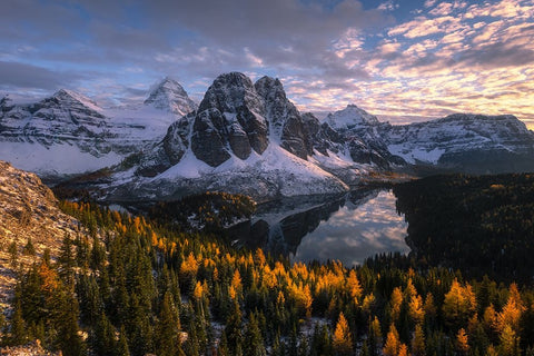 Mt. Assiniboine Black Ornate Wood Framed Art Print with Double Matting by Wei, Willa