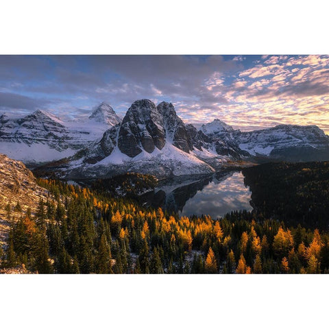 Mt. Assiniboine Gold Ornate Wood Framed Art Print with Double Matting by Wei, Willa