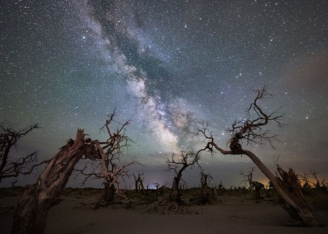 Galaxy Over A Dead Forest White Modern Wood Framed Art Print with Double Matting by Liao, Yuhan