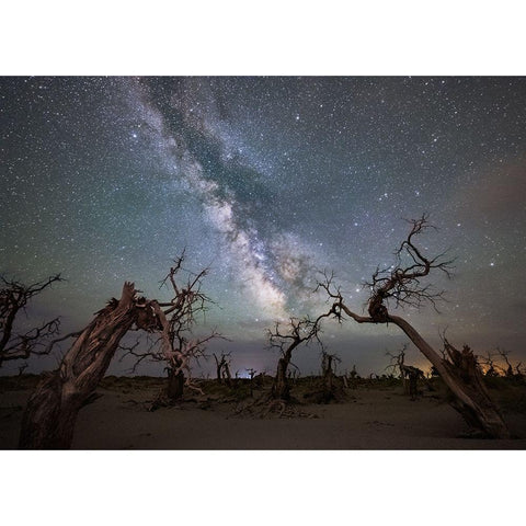 Galaxy Over A Dead Forest Black Modern Wood Framed Art Print by Liao, Yuhan