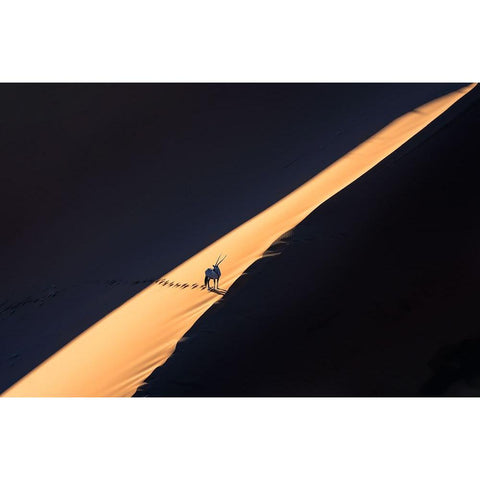 Oryx In The Desert Black Modern Wood Framed Art Print by Li, Min