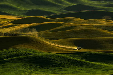 Palouse Wheat Fields Black Ornate Wood Framed Art Print with Double Matting by Dickau, Kristel