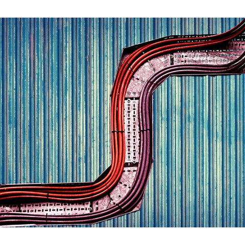 Snake Black Modern Wood Framed Art Print by Thomas, Gareth