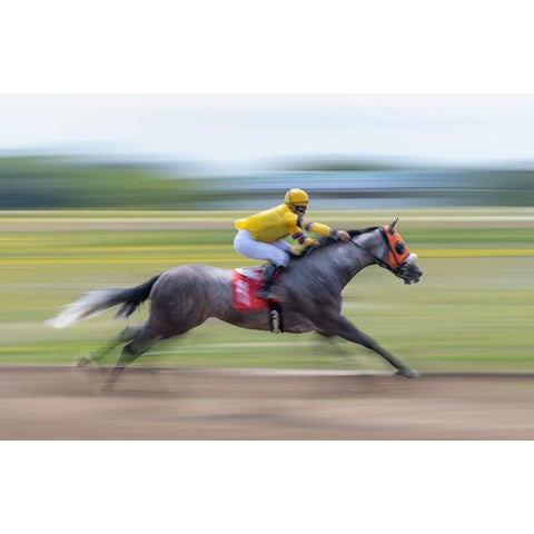 Horse Racing Gold Ornate Wood Framed Art Print with Double Matting by Little7