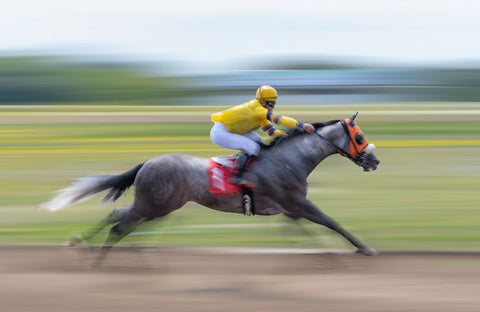 Horse Racing White Modern Wood Framed Art Print with Double Matting by Little7