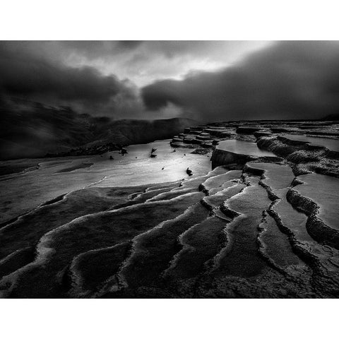 Lord Of Nature Black Modern Wood Framed Art Print with Double Matting by Arabzadeh, Abbas