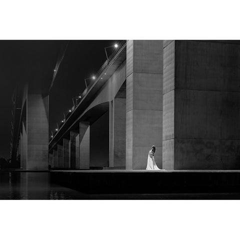 Gateway Bridge Bride Black Modern Wood Framed Art Print with Double Matting by Stampfli, Craig