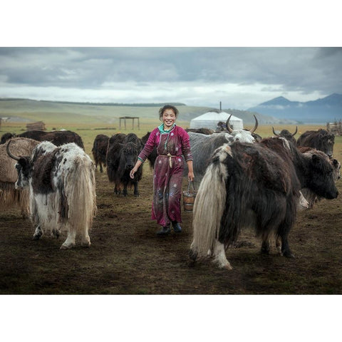 Happy Milking Black Modern Wood Framed Art Print with Double Matting by Ma, Frank