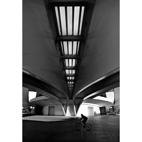 Cycling In The City Black Modern Wood Framed Art Print with Double Matting by Ezequiel59