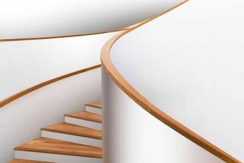 Mind Shapes Black Ornate Wood Framed Art Print with Double Matting by Liu, Shuchuan