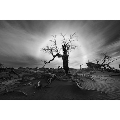 Solar Halo White Modern Wood Framed Art Print by Liao, Yuhan