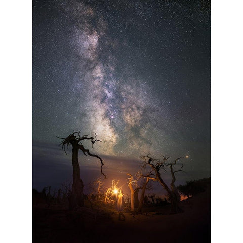 Under The Milkyway White Modern Wood Framed Art Print by Liao, Yuhan